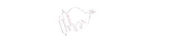 Outrival Capital Profit logo